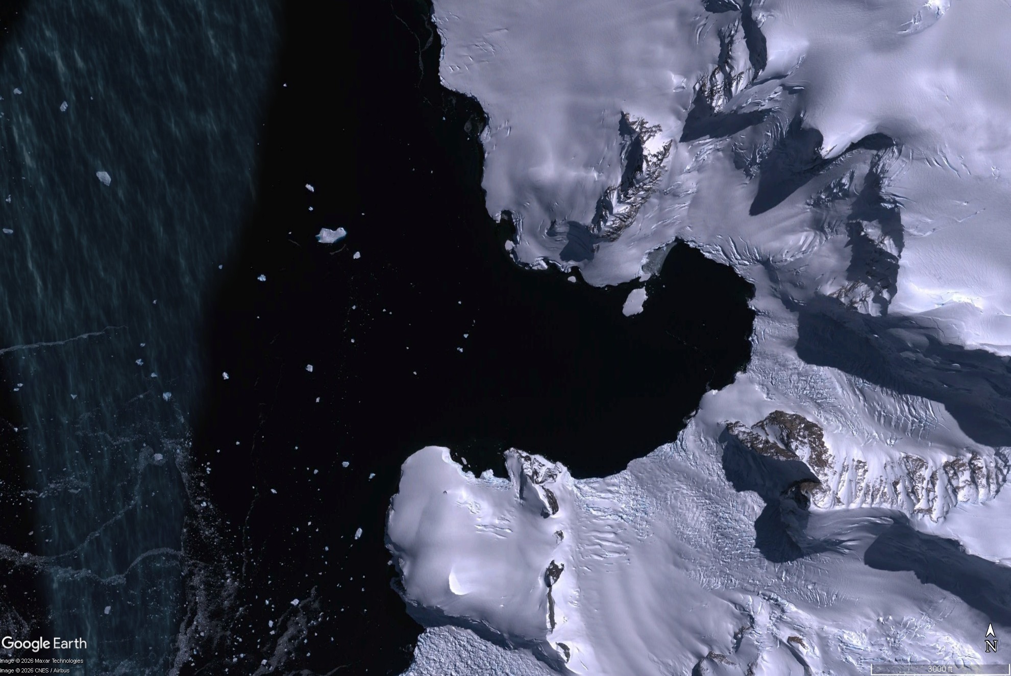 Ice and wildlife in Antarctica