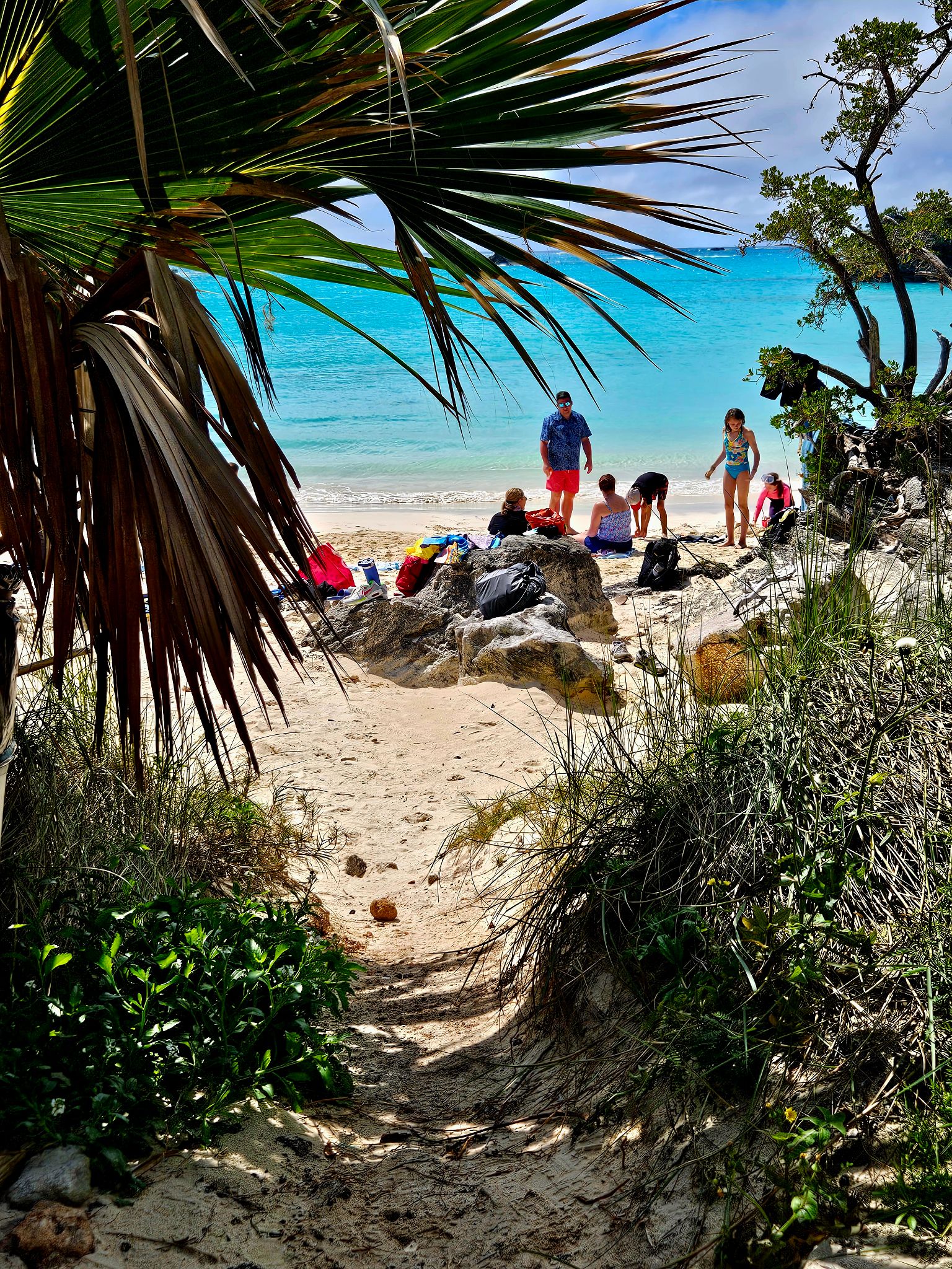 Pink sand beach in Bermuda