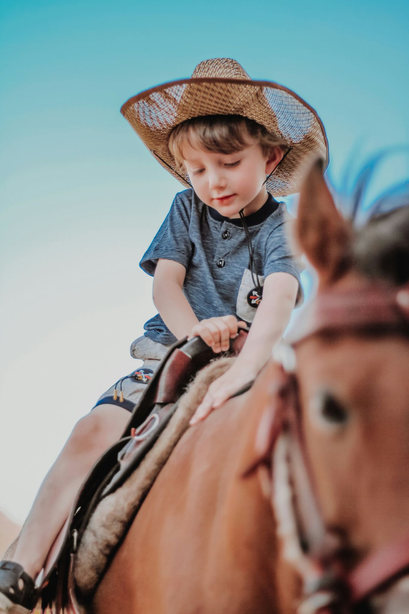 Dude ranch vacation