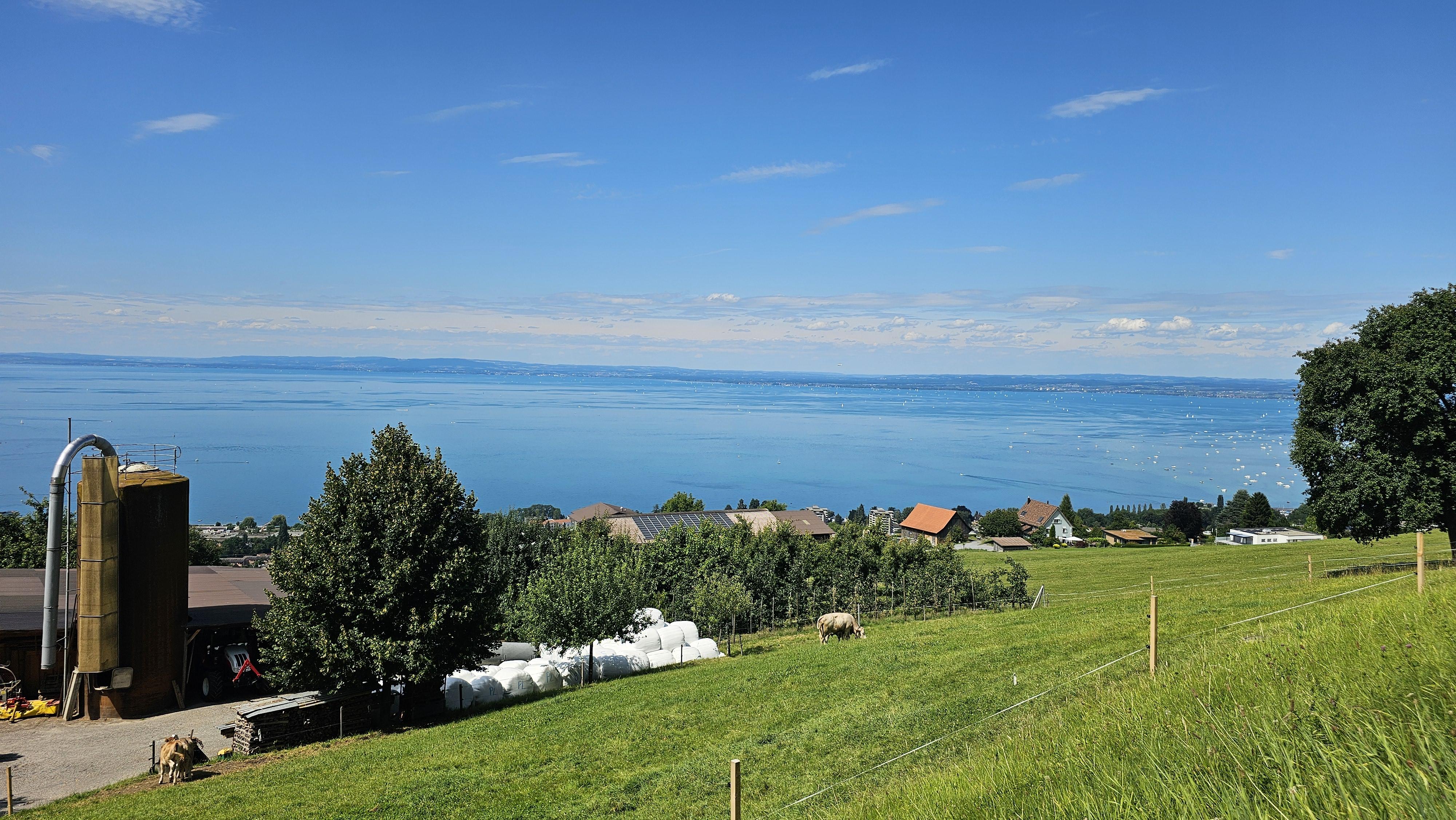 Scenic drive through the Black Forest and Swiss Alps