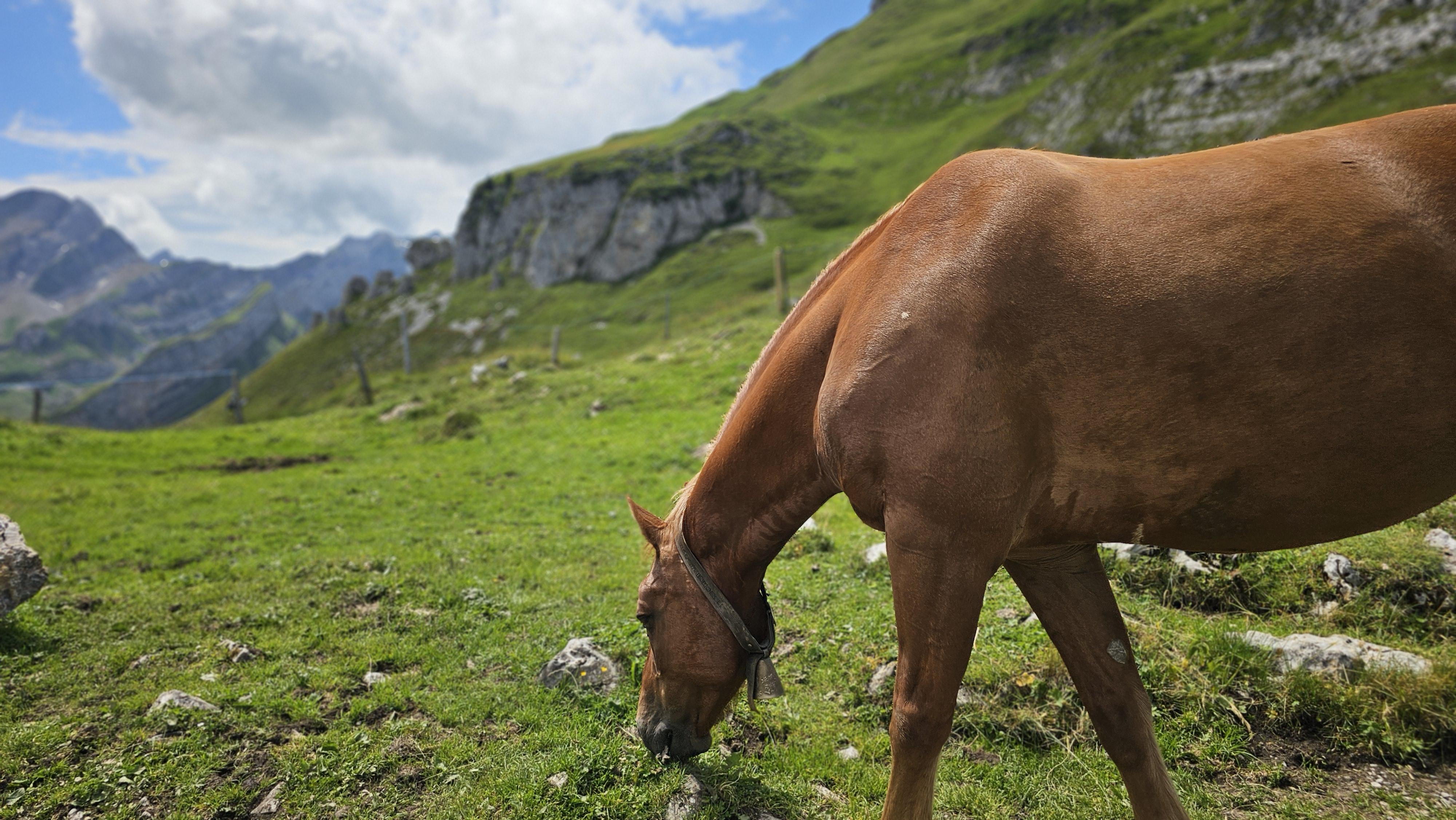 Appenzell Switzerland