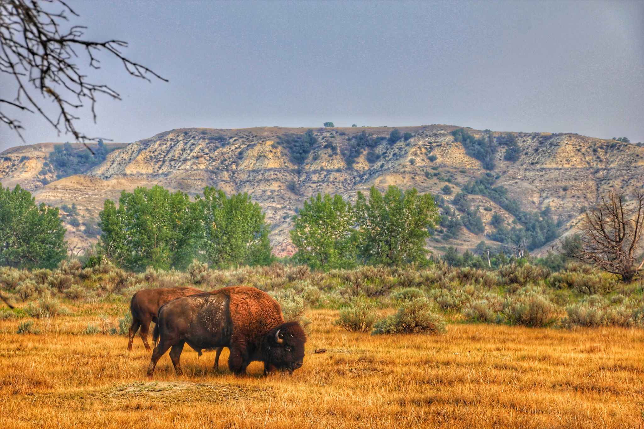 Scenic drive through the Black Hills