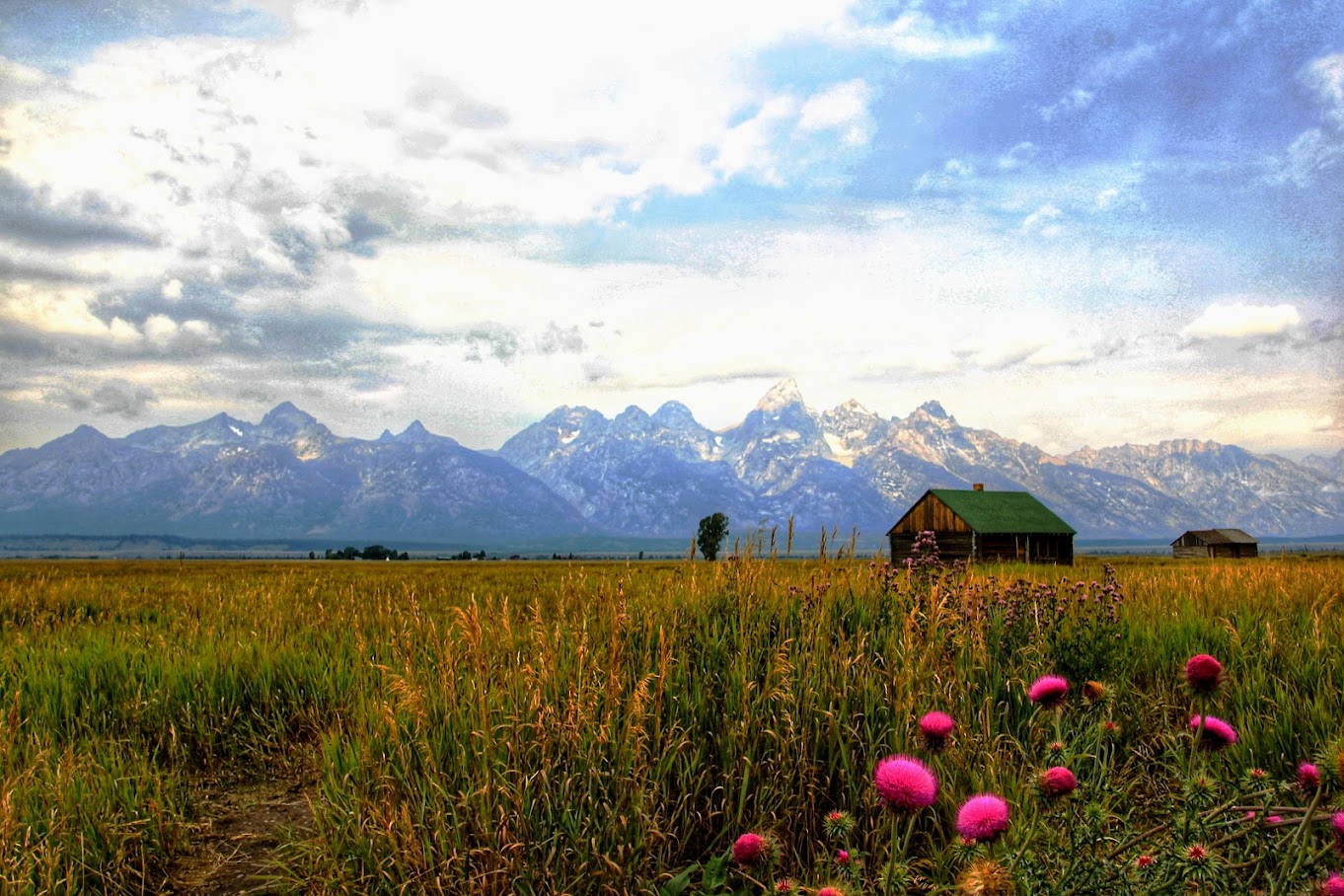 Unforgettable family travel experience